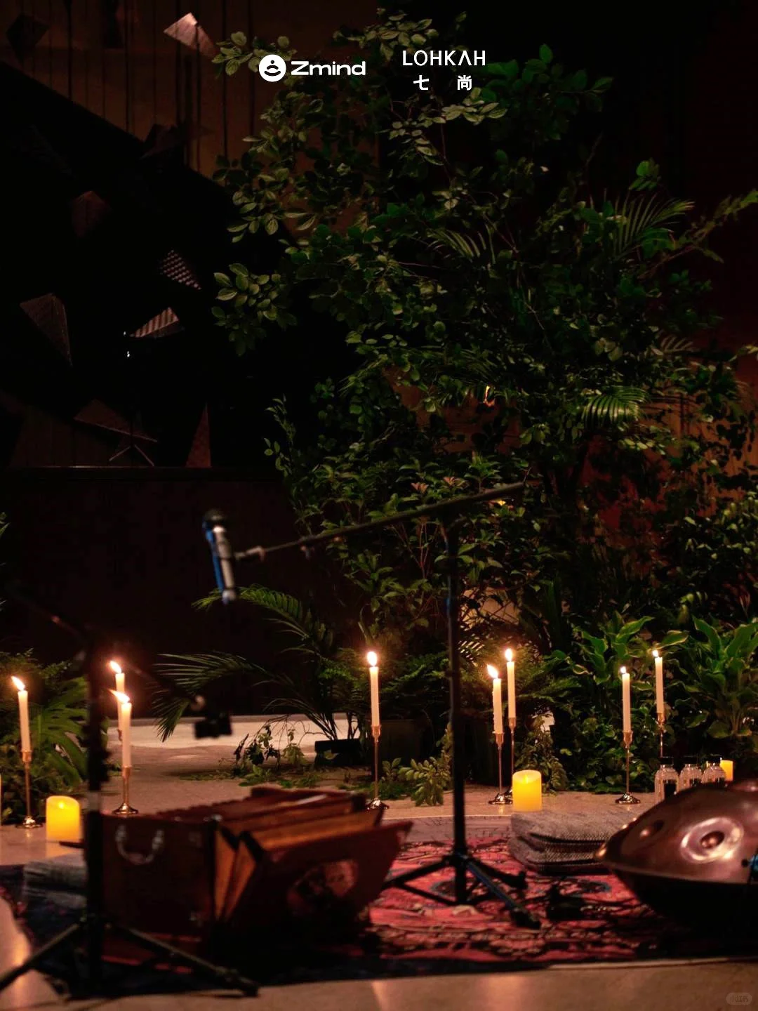 梵文音愈会，找到自由的入口